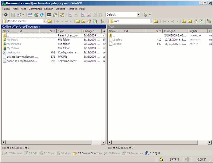 An active WinSCP file transfer session.